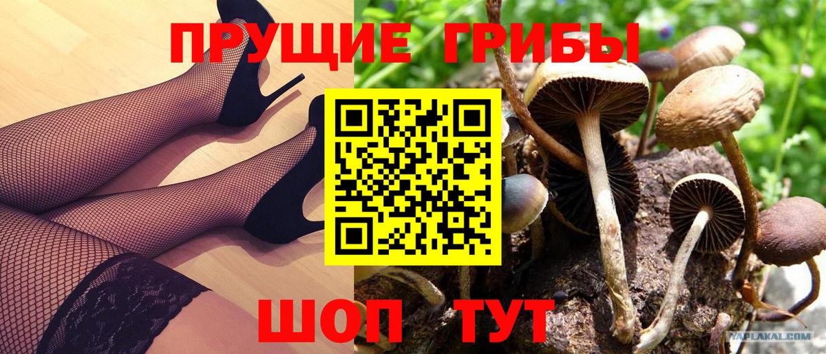 Галлюциногенные грибы прущие грибы Кубинка