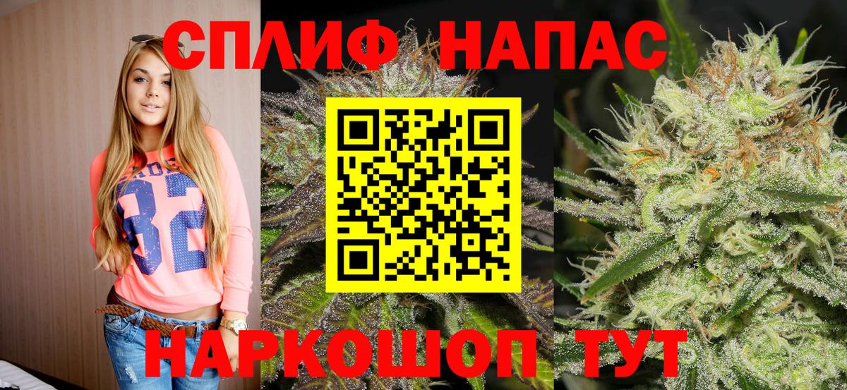 Каннабис марихуана Кубинка